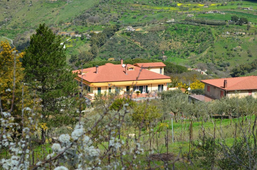 Villa Della Mimosa Alia Exterior photo
